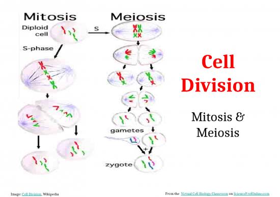 Biology Ppt 71529 Mitosis And Meiosis 02152018