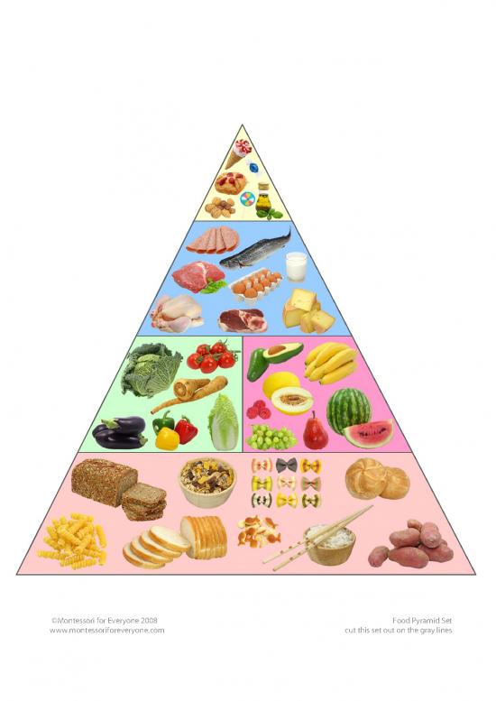 Printable Food Pyramid Pdf 145662 Food Pyramid Montessori