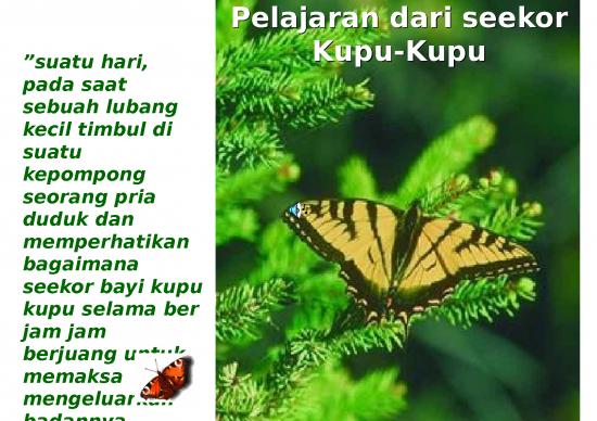 picture1_Power Point Motivasi - Kupu-kupu picture1_Power Point Motivasi - Kupu-kupu
