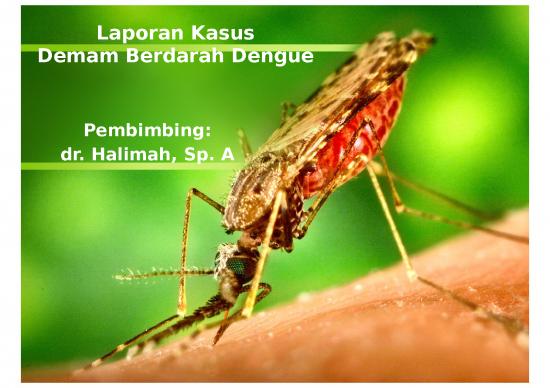 picture1_Laporan Ppt 2013 | Power Point Laporan Kasus Demam Berdarah Dengue