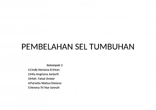 picture1_Power Point - Pembelahan Sel Tumbuhan