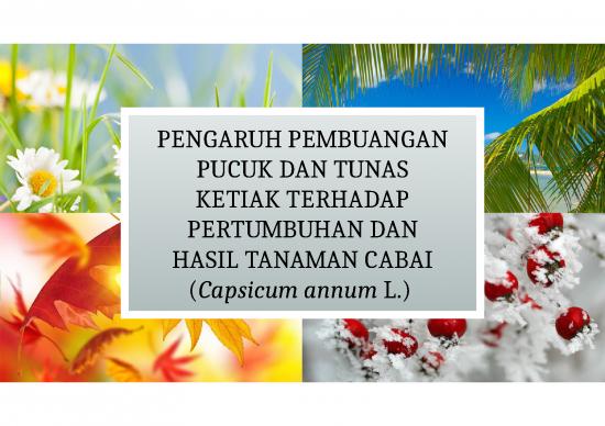 picture1_Power Point - Pembuangan Pucuk Dan Tunas Ketiak Terhadap Pertumbuhan Dan Hasil Tanaman Cabai