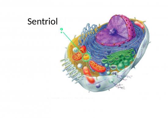 Power Point - Sentriol Hewan Eukariot