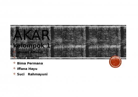 picture_Bioogi -akar