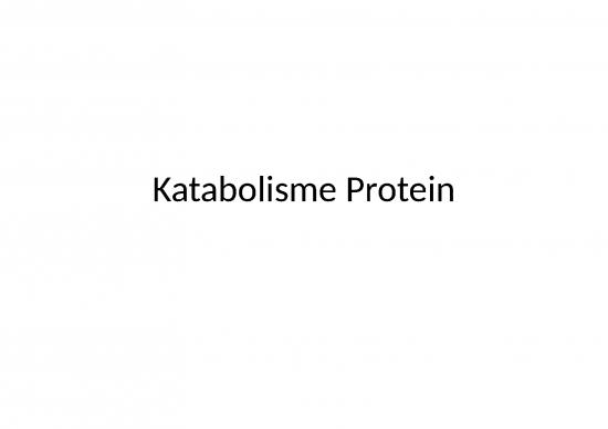 picture_Kimia - Katabolisme Protein