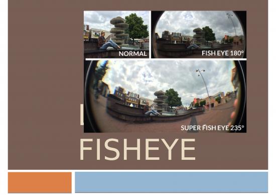 picture_Lensa Fisheye