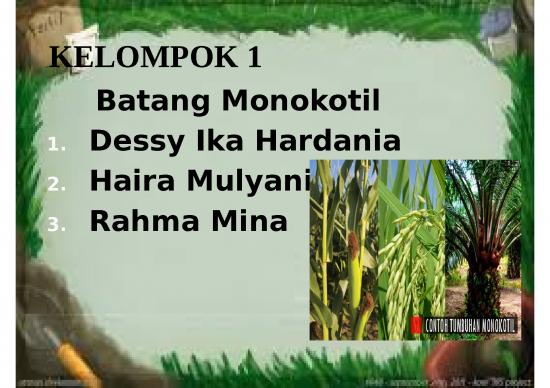 picture_Biologi Batang Monokotil