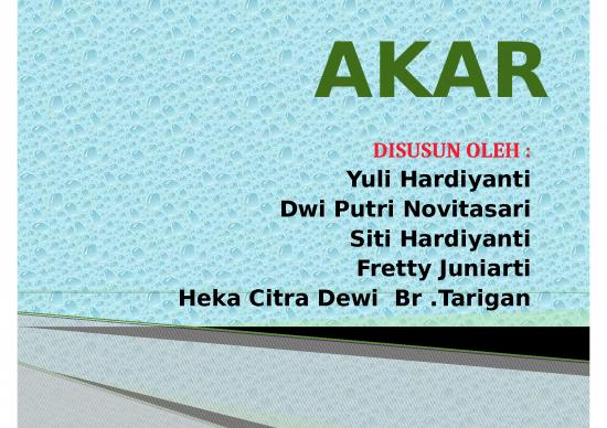 picture1_Morfologi Akar - Sistem Perakaran Tumbuhan