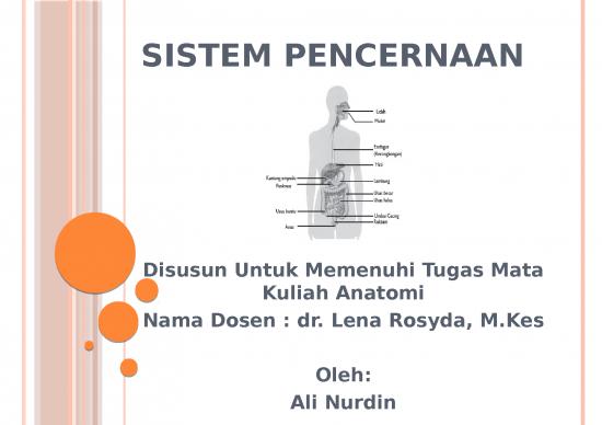 picture Sistem Pencernaan - Sistem Gastroinstestinal - Sistem Organ Dalam Manusia
