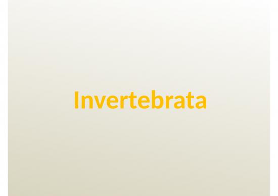 picture_Invertebrata - Hewan Yang Tidak Memiliki Tulang Punggung Atau Kolom Vertebral