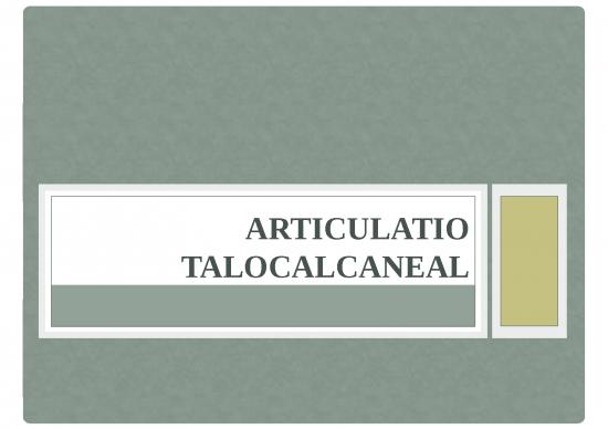 picture_Area Ppt 3774 | Articulatio Talocalcaneal - Subtalar Joint - Artikulasi Antara Dua Tulang Tarsal Di Kaki