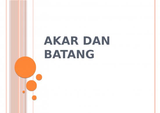 picture1_Akar Dan Batang - Biologi