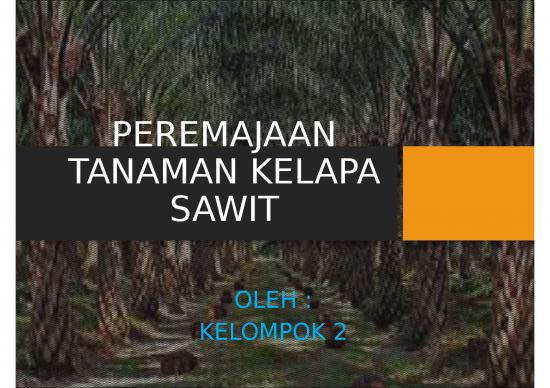 picture_Peremajaan Tanaman Kelapa Sawit