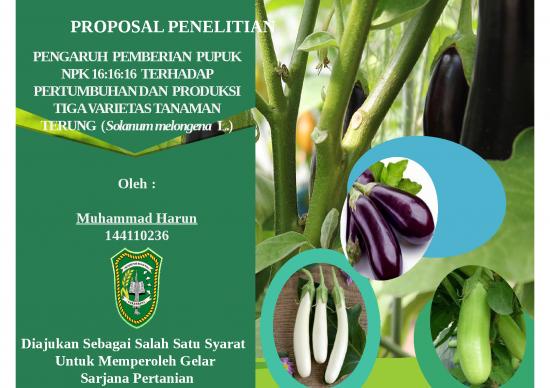 picture Powerpoint Templates Proposal 4179 | Pupuk Npk Tanaman Terung - Pengaruh Pemberian Pupuk Npk 161616 Terhadap Pertumbuhan Dan Produksi Tiga Varietas Tanaman Terung Solanum Melongena L picture Powerpoint Templates Proposal 4179 | Pupuk Npk Tanaman Terung - Pengaruh Pemberian Pupuk Npk 161616 Terhadap Pertumbuhan Dan Produksi Tiga Varietas Tanaman Terung Solanum Melongena L