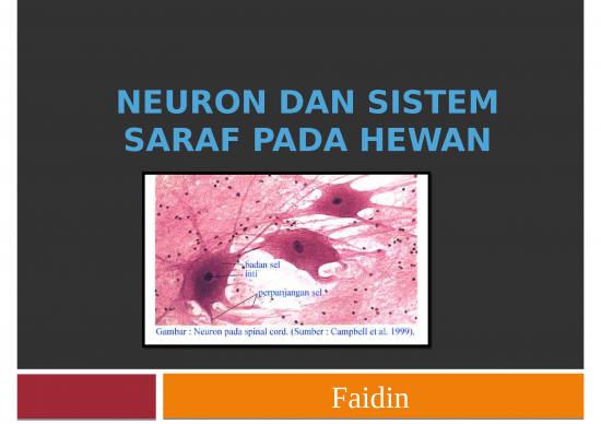 picture1_Neuron Dan Sistem Saraf Pada Hewan