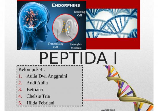 picture Reaksi Asam Amino 4483 | Peptida - Satu Atau Lebih Asam Amino Yang Dihubungkan Dengan Suatu Ikatan Kovalen picture Reaksi Asam Amino 4483 | Peptida - Satu Atau Lebih Asam Amino Yang Dihubungkan Dengan Suatu Ikatan Kovalen