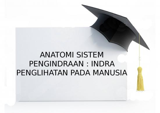 Indra Penglihatan Pada Manusia - Anatomi Sistem Pengindraan