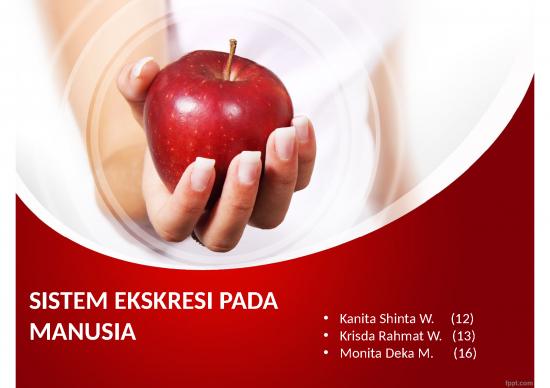 picture1_Sistem Ekskresi Pada Manusia
