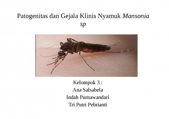 picture_Vektor Filariasis 4809 | Patogenitas Dan Gejala Klinis Nyamuk Mansonia Sp