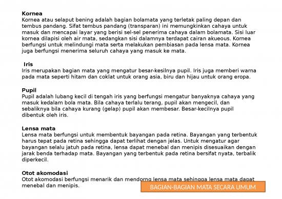 Indra Penglihatan Pada Manusia - Anatomi Sistem Pengindraan