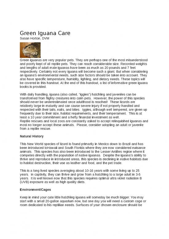 picture1_Iguana Care Id 24722 | 355e2d9f 73b4 4495 A103 De1c824ec624 Green Iguana Care Chicago Exotic Animal Hospital
