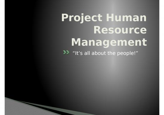 picture1_Budget Spreadsheet 24037 | (4) Project Manager Team Organization