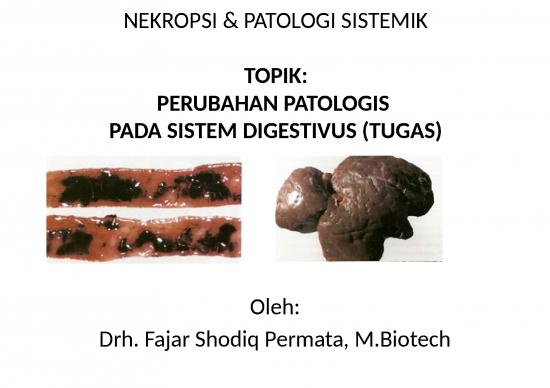 picture1_Contoh Penilaian Pembelajaran 27293 | Tugas Patologi Sistemik Dan Nekropsi (sistem Digestivus) picture1_Contoh Penilaian Pembelajaran 27293 | Tugas Patologi Sistemik Dan Nekropsi (sistem Digestivus)