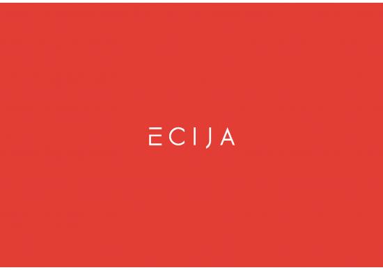 picture1_Merger Power Point 32162 | Ecija Central America Presentation