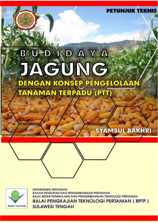 picture_Budidaya Tanaman Jagung Pdf 37543 | 07 Juknis Jagung