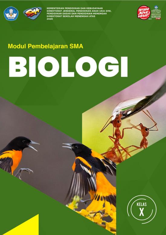 picture_Pembelajaran Pdf 38103 | Salinan Animalia