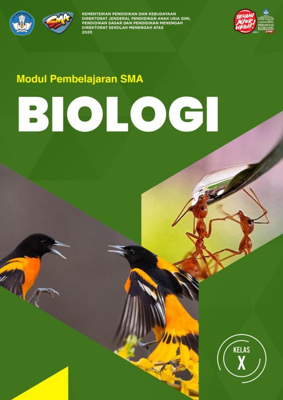 picture1_Pembelajaran Pdf 38105 | Salinan Plantae