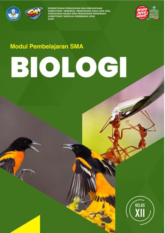 picture_Pembelajaran Pdf 38099 | Salinan Xii Biologi Kd 3 10 Final