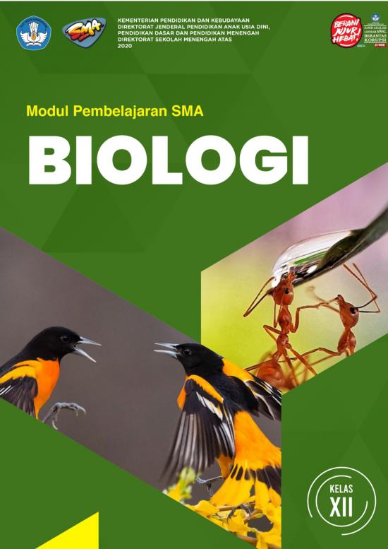 picture1_Pembelajaran Pdf 38100 | Salinan Xii Biologi Kd 3 4 Final