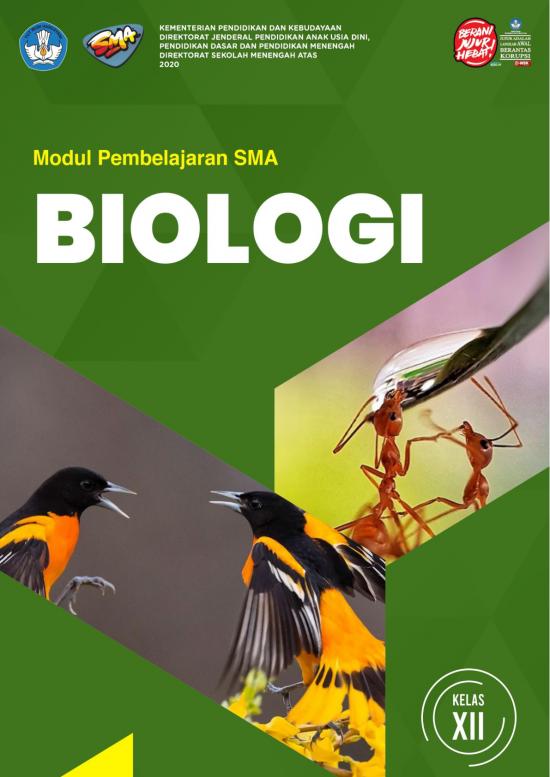 picture1_Pembelajaran Pdf 38102 | Salinan Xii Biologi Kd 3 9 Final picture1_Pembelajaran Pdf 38102 | Salinan Xii Biologi Kd 3 9 Final