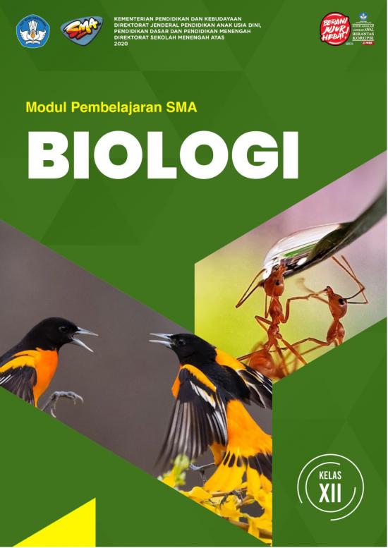 picture_Pembelajaran Pdf 38068 | Xii Biologi Kd 1 Final
