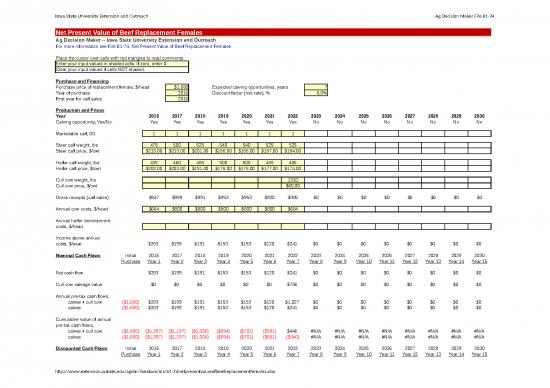 picture Present Value Excel Template 46472 | B1 74netpresentvalueofbeefreplacementfemales