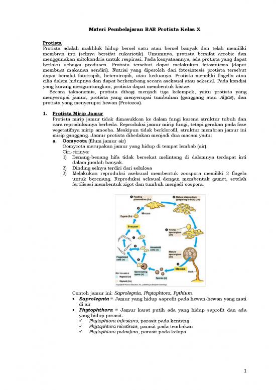 picture1_Pembelajaran Pdf 5224 | Materi Kelas 10 - Pembelajaran Bab Protista