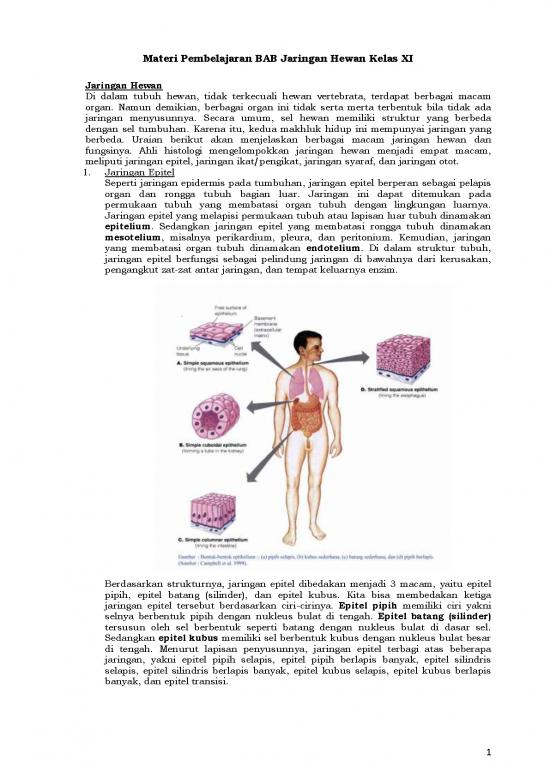 picture_Pembelajaran Pdf 5232 | Materi Kelas 11 - Pembelajaran Bab Jaringan Hewan