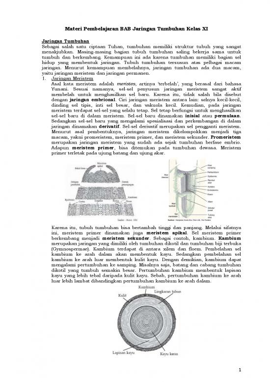 picture_Pembelajaran Pdf 5233 | Materi Kelas 11 - Pembelajaran Bab Jaringan Tumbuhan