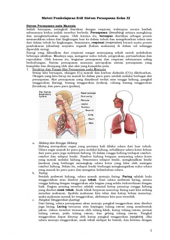 picture_Pembelajaran Pdf 5238 | Materi Kelas 11 - Pembelajaran Bab Sistem Pernapasan