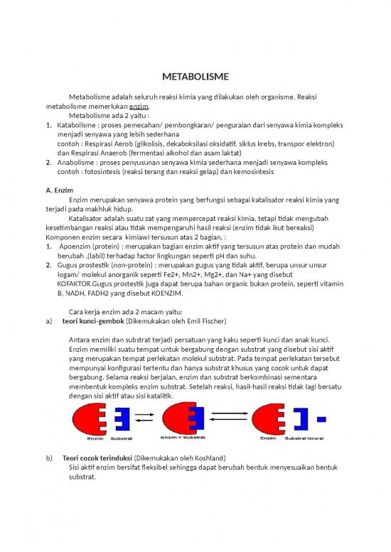 Materi Kelas 12 - Rangkuman Materi Metabolisme