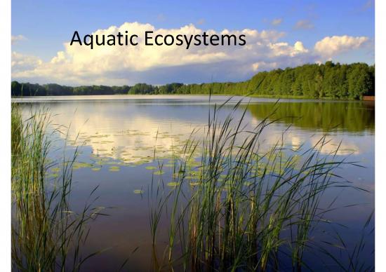 picture1_Types Of Aquatic Ecosystem Pdf 50203 | Aquaticecosystemandwaterpollutionbymuhammadkhuzaima 160904072724