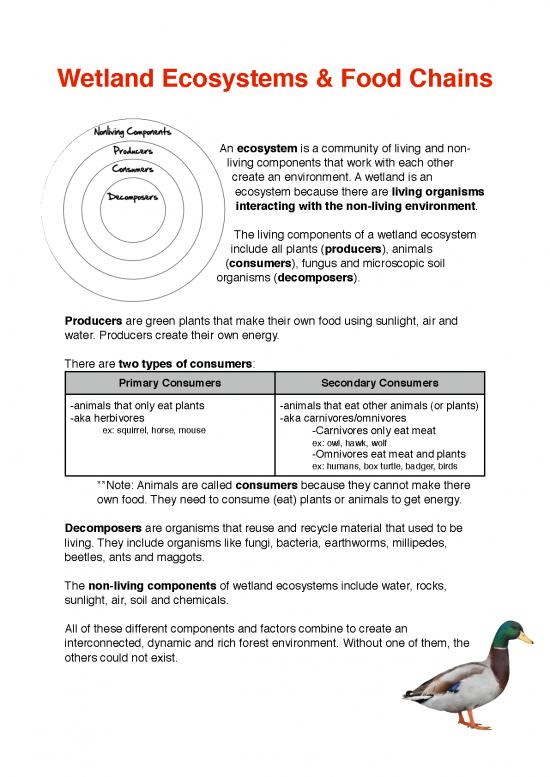 picture The Environment Pdf 49763 | Ecosystem Notes Handout