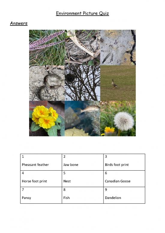 picture1_The Environment Pdf 55420 | 6c Environment Picture Quiz Answers