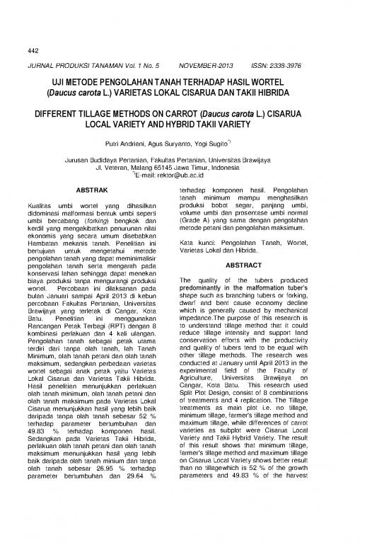 picture1_Budidaya Wortel Pdf 58142 | 126719 Id None