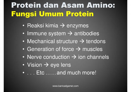 picture Reaksi Asam Amino 58558 | Kuliah 6 Biokimia Peternakan Prot Aa 2016  Ciptadi picture Reaksi Asam Amino 58558 | Kuliah 6 Biokimia Peternakan Prot Aa 2016  Ciptadi