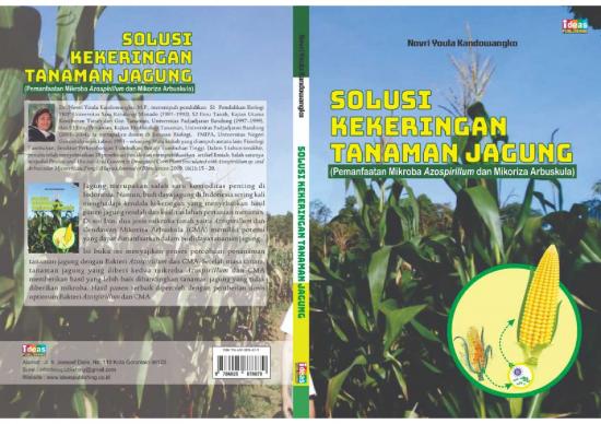 picture_Jagung Pdf 58487 | Novri Y Kandowangko Buku Solusi Kekeringan Tanaman Jagung Pemanfaatan Mikroba Azospirillum Dan Mikoriza Arbuskula