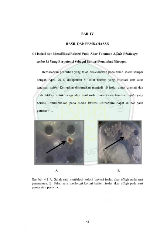 picture1_Materi Bakteri Pdf 61734 | 09620027 Bab 4