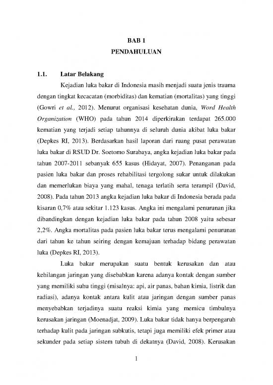 picture Luka Bakar Pdf 59479 | Bab 1 Item Download 2022-08-23 08-53-11