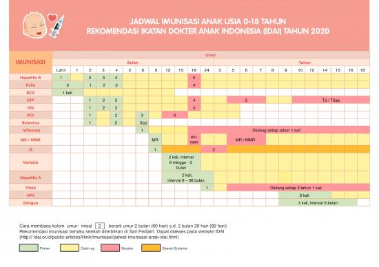 picture Imunisasi Pdf 59553 | Table Jadwal Imunisasi Idai